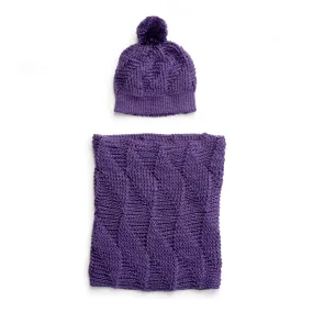 Caron Twist 'n' Shout Crochet Hat and Cowl