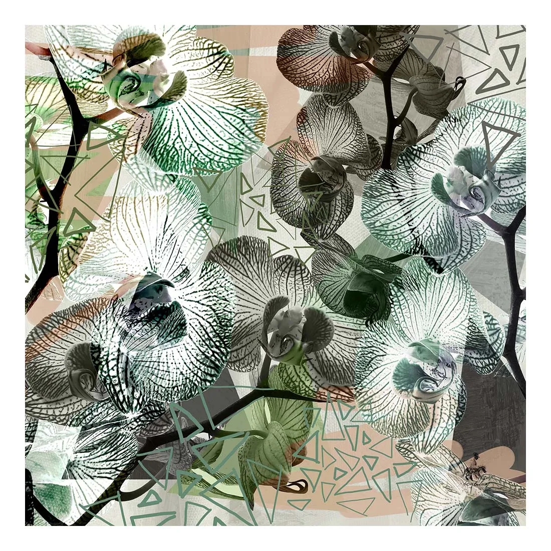 Redivivus Silk Cotton Scarf