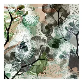 Redivivus Silk Cotton Scarf